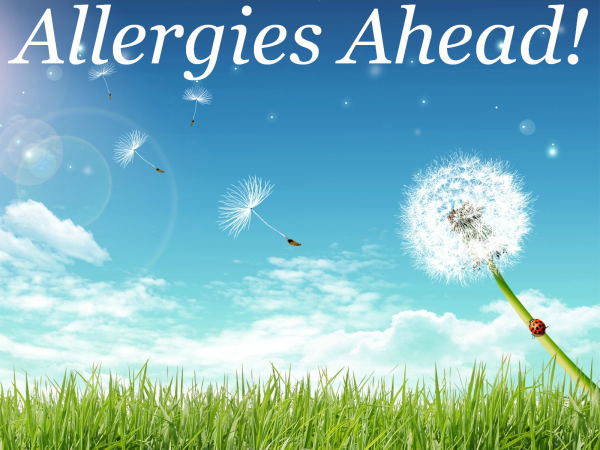 Allergies-Ahead-resized-600