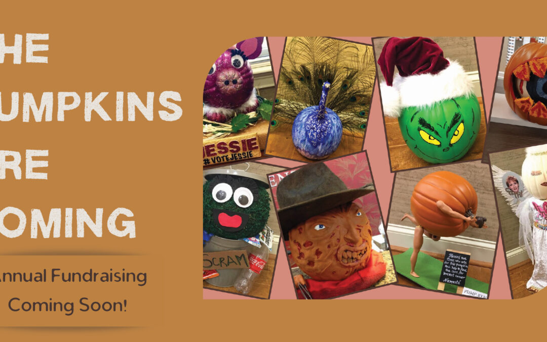 Pumpkin Decorating Fundraiser Coming Soon!