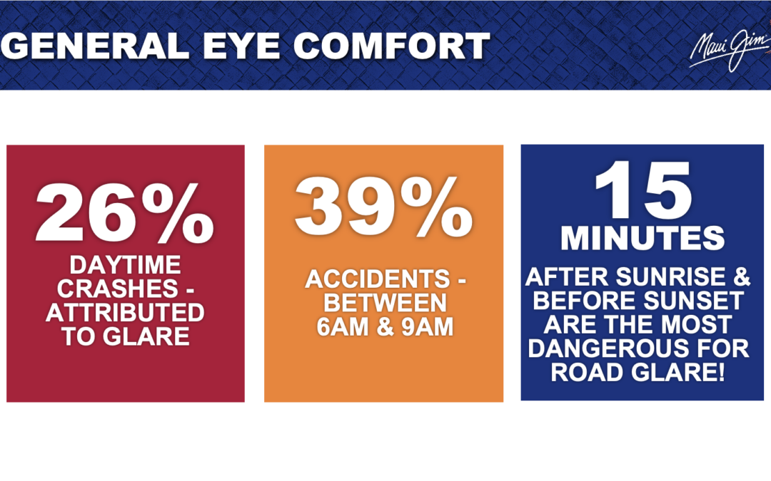 Drive Safe: The Glare Problem & The Polarized Solution!